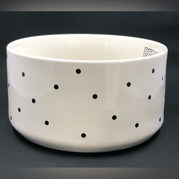 Rae Dunn Peanuts Pet Dog Bowl Halloween Spooktacular Snoopy & Woodstock - Picture 3 of 16